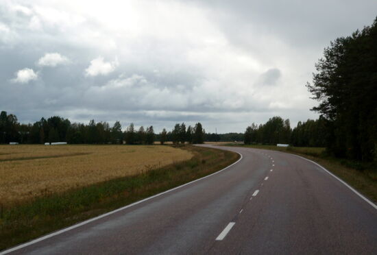 immer wieder Getreidefelder