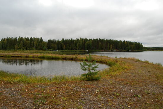 zuerst sahen wir uns