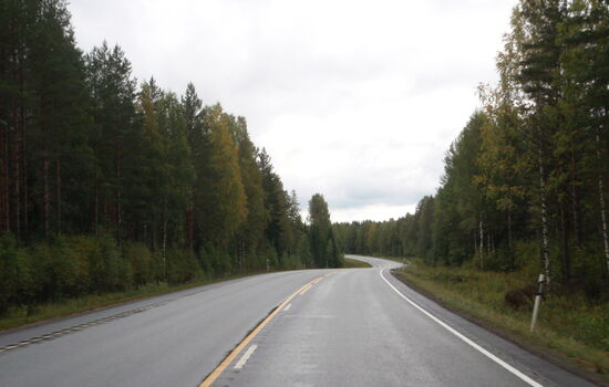 Weiterfahrt durch Wälder