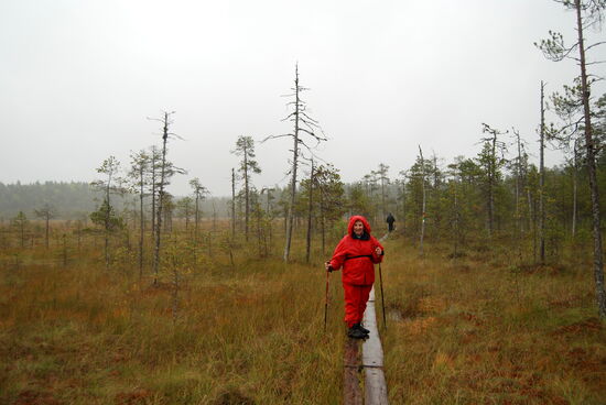 und es fing wieder an zu regnen
