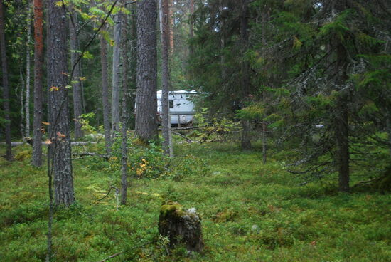 der Wowa schimmerte durch die Bäume