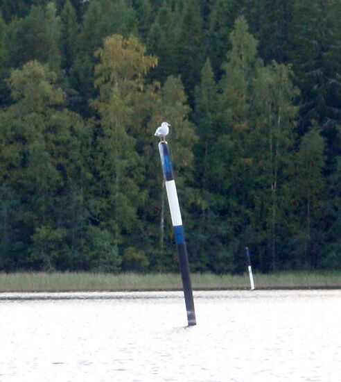 es gab Schiffsverbindungen mit anderen Seen, so waren die Fahrwege ausgetonnt