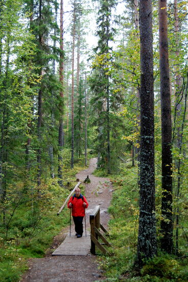 kleine Bäche wurden überbrückt