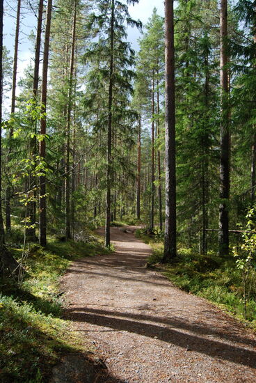 weiter auf dem Wanderweg