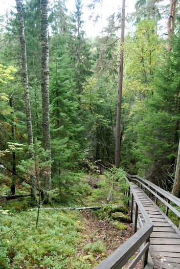 die Treppe führte steil bergab