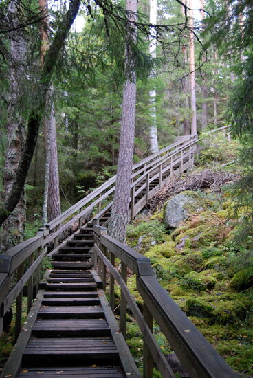 wir gingen die Treppe wieder steil bergauf