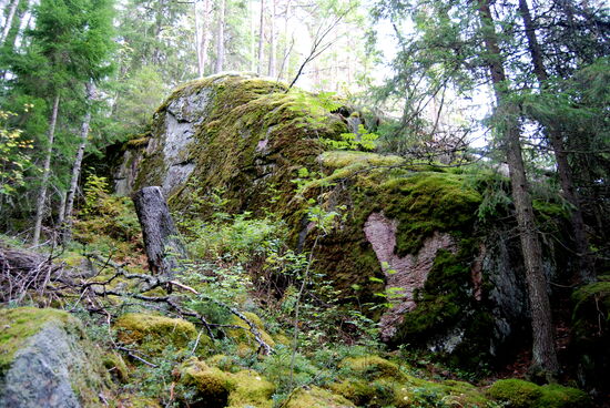 im Wald immer wieder Findlinge