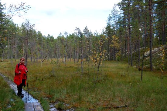 dann führte unser Weg durch ein Moor