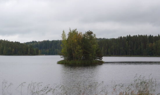 Insel im Kurunlahti