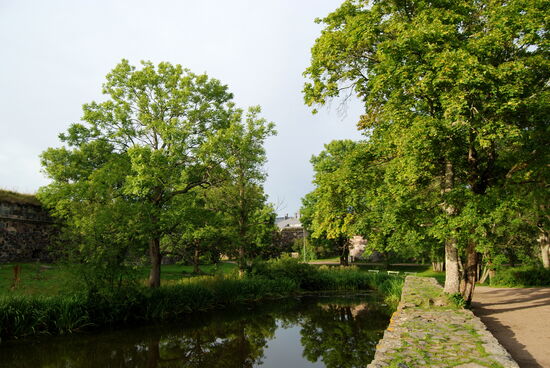 kleine Rast am See Lemmenlampi