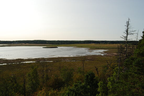 Blick über das Ende der Meeresbucht Mietoistenlahti