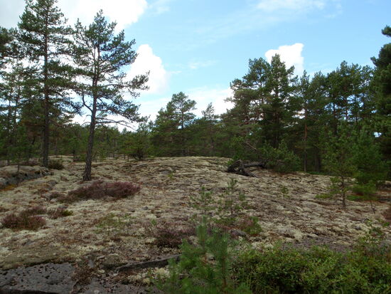 zuerst machten wir noch einen Abstecher