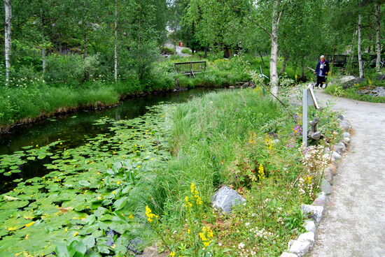 Christa blieb auf dem großen Weg am Bach