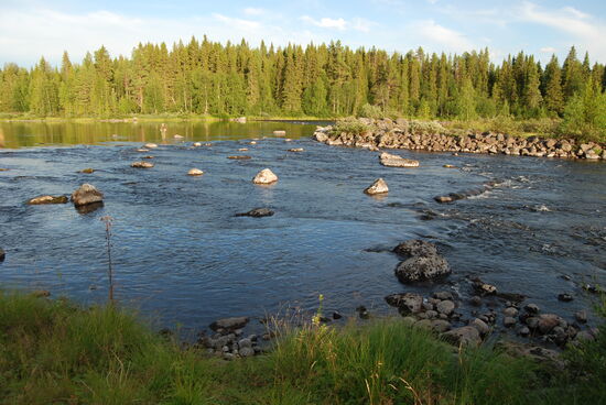 neben den Stromschnellen
