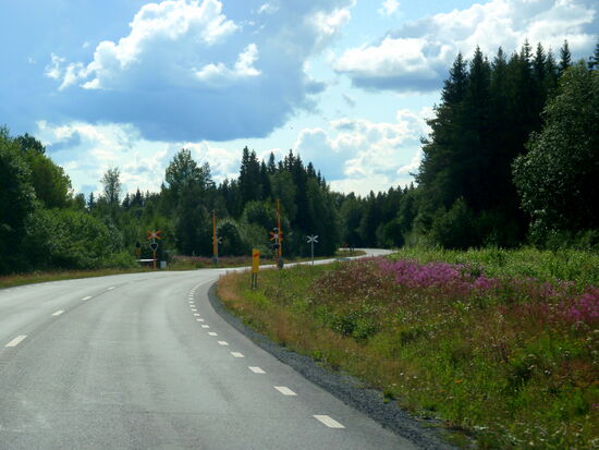 mal wieder ein Bahnübergang der Inlandsbanan