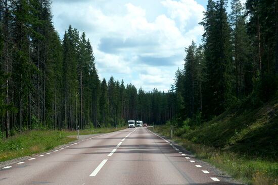 Weiterfahrt durch waldreiche Landschaft