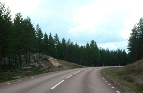 Weiterfahrt durch Dünen-Wald-Landschaft