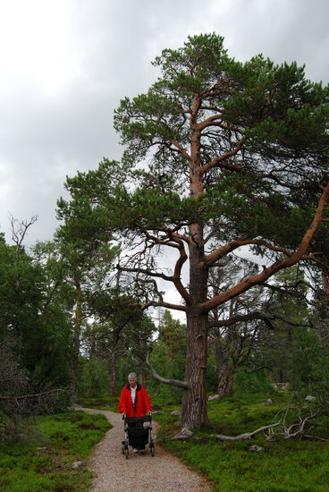 Christa kam mit dem Rollator gut voran