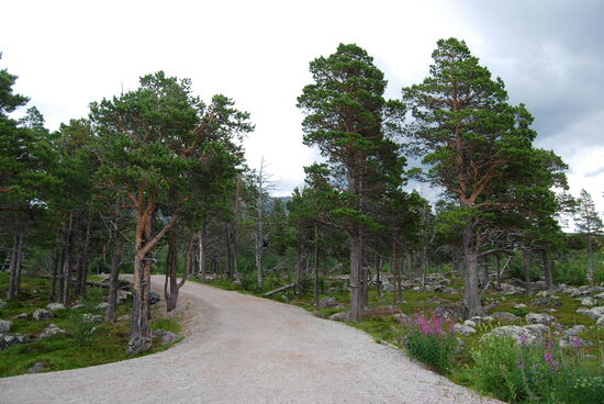 Rückweg zum Parkplatz