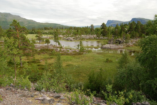 bald hatten wir wieder