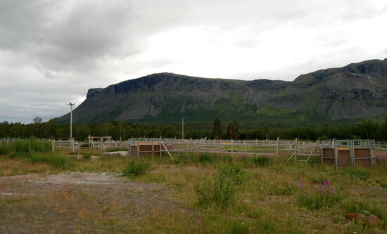 Rentiersortierungsanlage