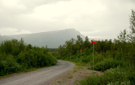 auf dem Weg, der im Winter als Skoterled markiert ist