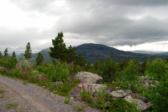 auf dem Abzweig zum Aussichtspunkt