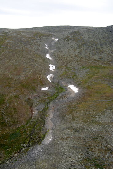 auf einem Schneefeld