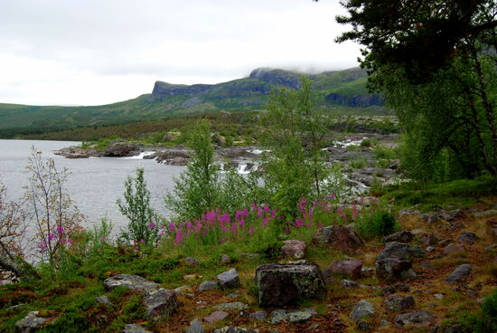 der Weg stieg an und wir bekamen wieder den Blick auf die Wasserfälle