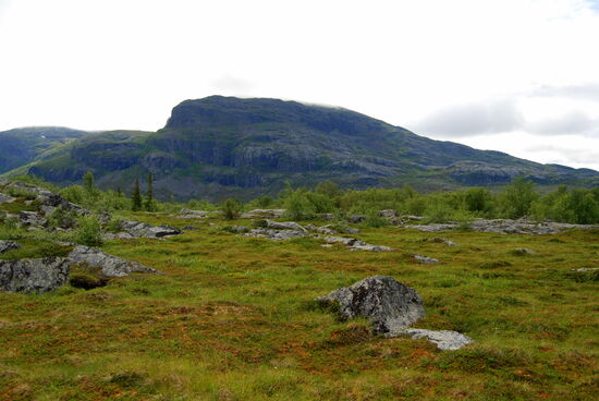 auf der feuchten Wiese konnte man
