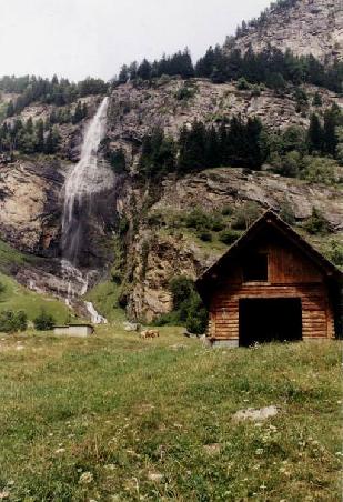 Der Fallbach (200m) Die Plattform ist dort, wo die Nadelbäume in der Mitte sind