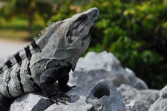Die heutigen "Einwohner" ??