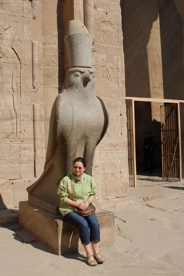 Horus - Falke