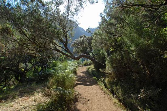 Beginn der Wanderung