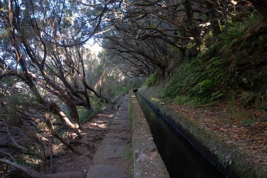 Immer der Levada entlang