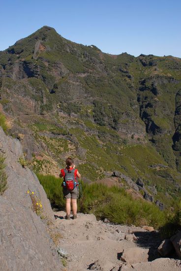 Über den Pico Torres (man erahnt den Weg - aber er ist mörderisch)