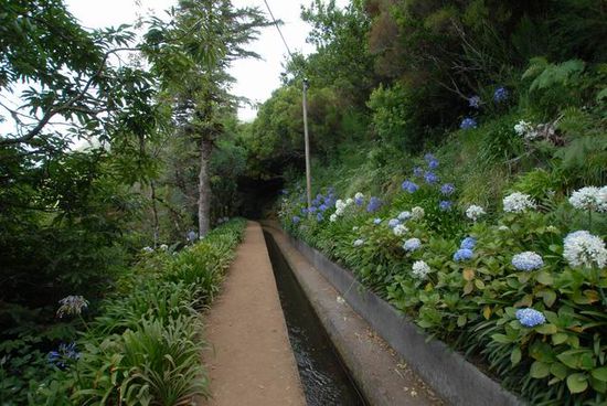 Die Blumenwanderung - leicht und schön