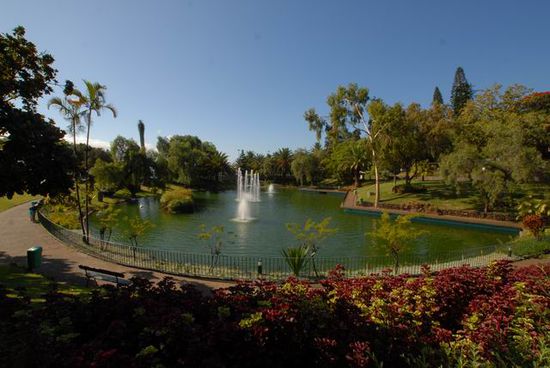 Funchal - im Park