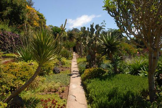 Botanische Garten