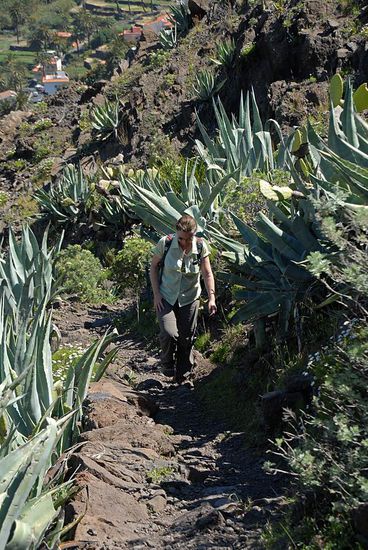 Der Anstieg war sehr steil