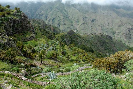 La Laja Tal