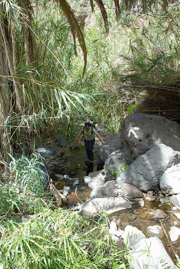 immer dem Bachbett entlang