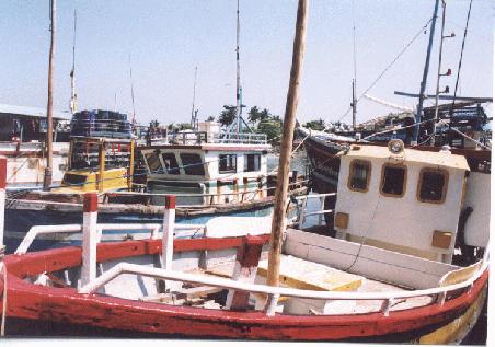 Hafen von Negombo