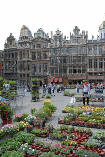 Blumenmarkt auf dem Grand Place