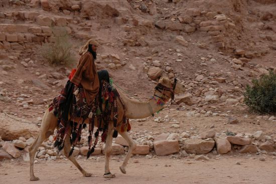 "Jonny Depp" auf Kamel...