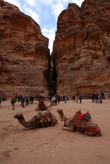 Blick vom Schatzhaus zum Siq