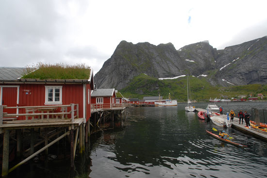 Reine