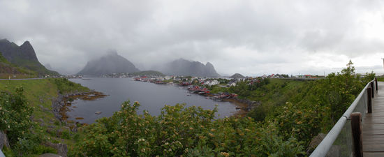 Reine