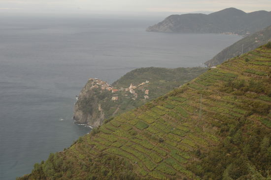 Corniglia