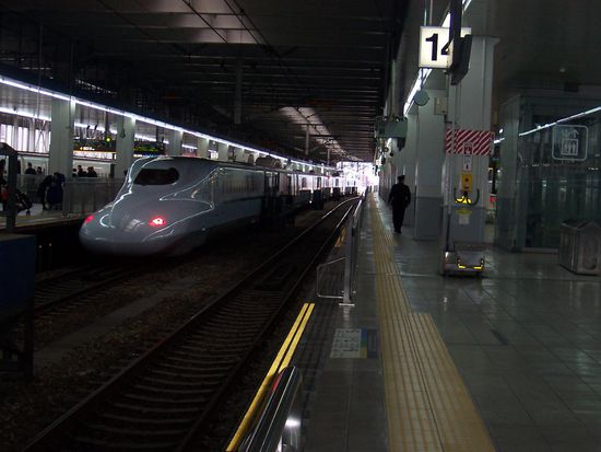 Bahnhof Fukuoka mit Schnabeltier